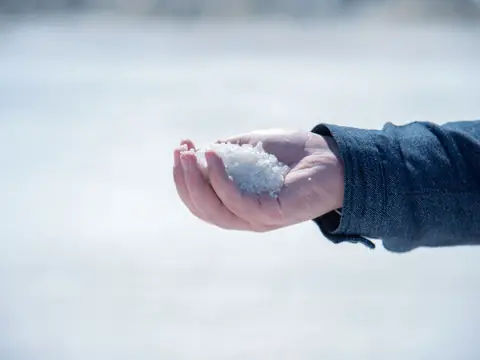A hand holding coarse white salt