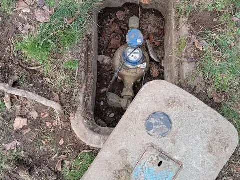 A water meter in its box in a front yard